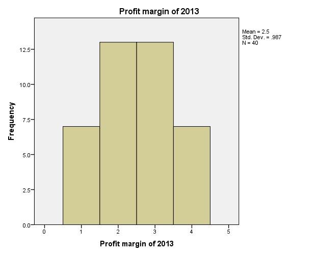 profit margin of 2013